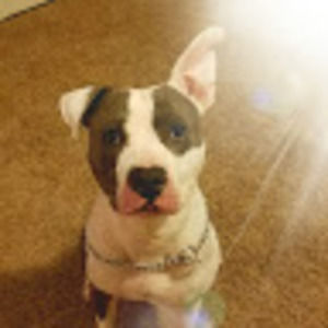 Meet your Posher, Michaela